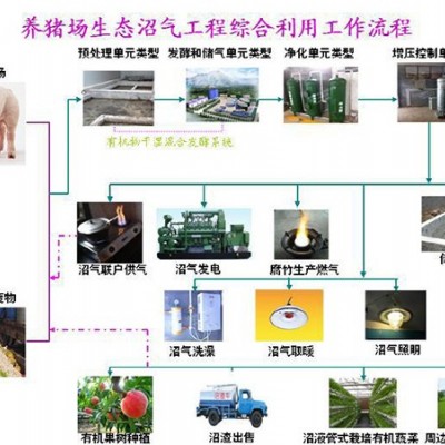 养猪场生态沼气工程